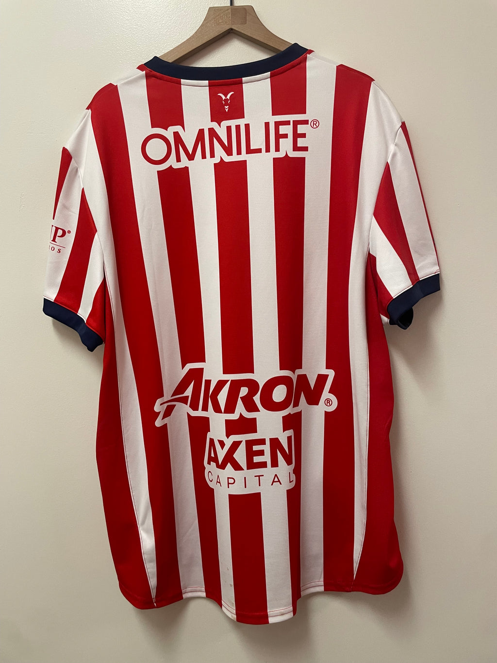 Puma Chivas 2024-25 Home Jersey
