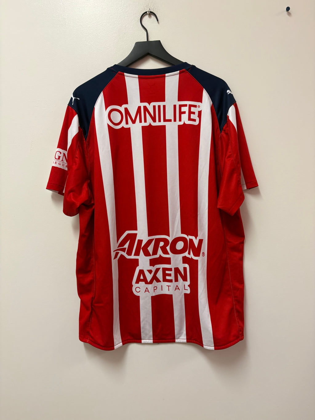 Puma Chivas 2024-25 Home Jersey ChivaBono Edition