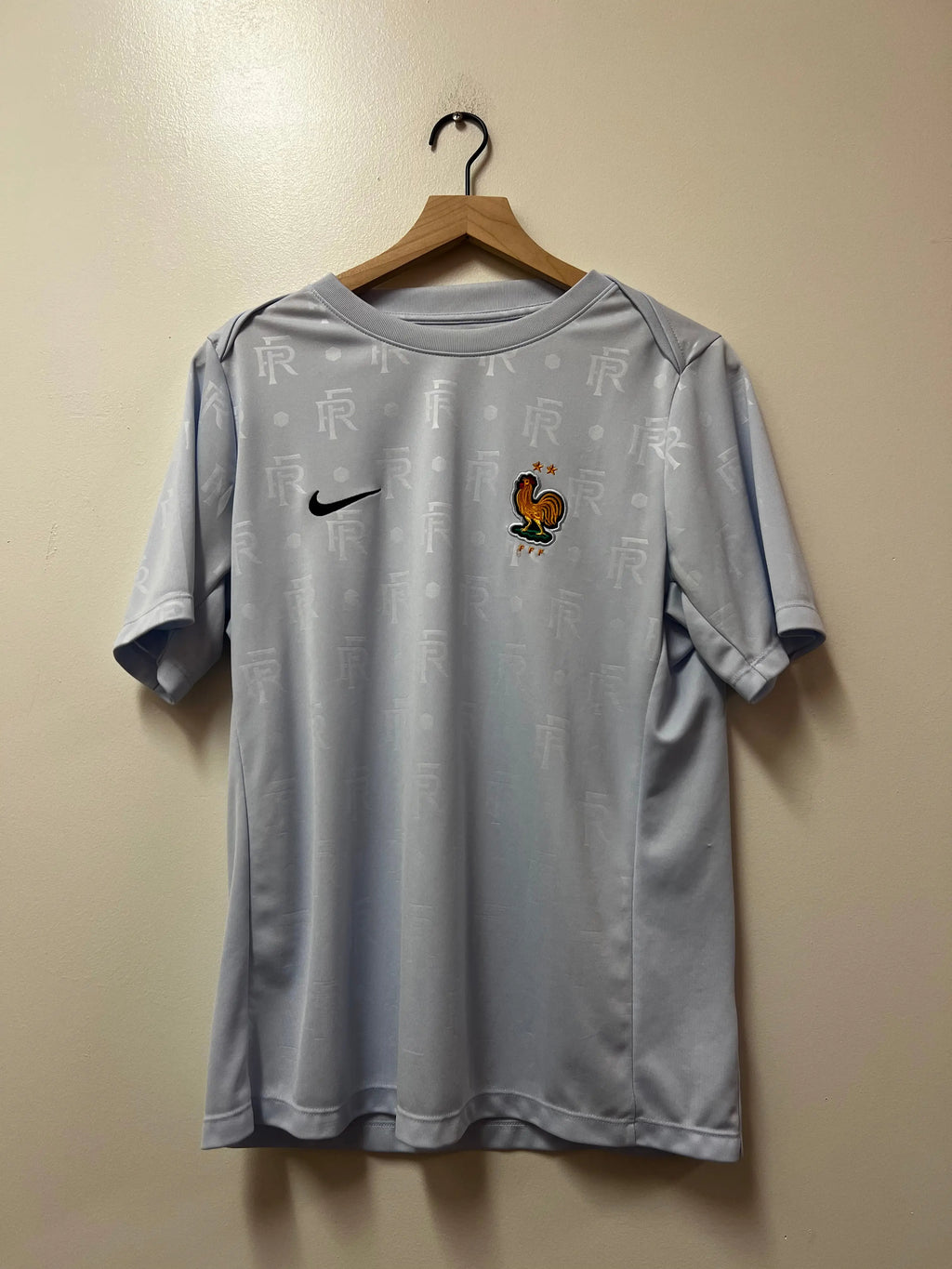 Nike FFF Academy Pro Away Pre-Match Shirt STA Apparel