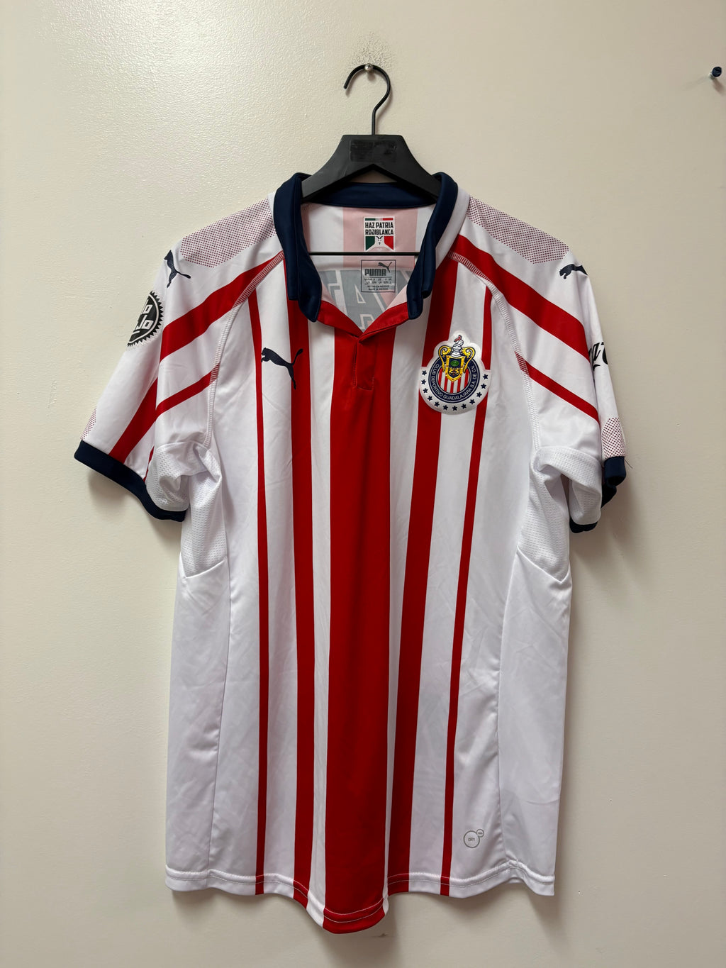 Puma Chivas Guadalajara 2018-19 Home Jersey
