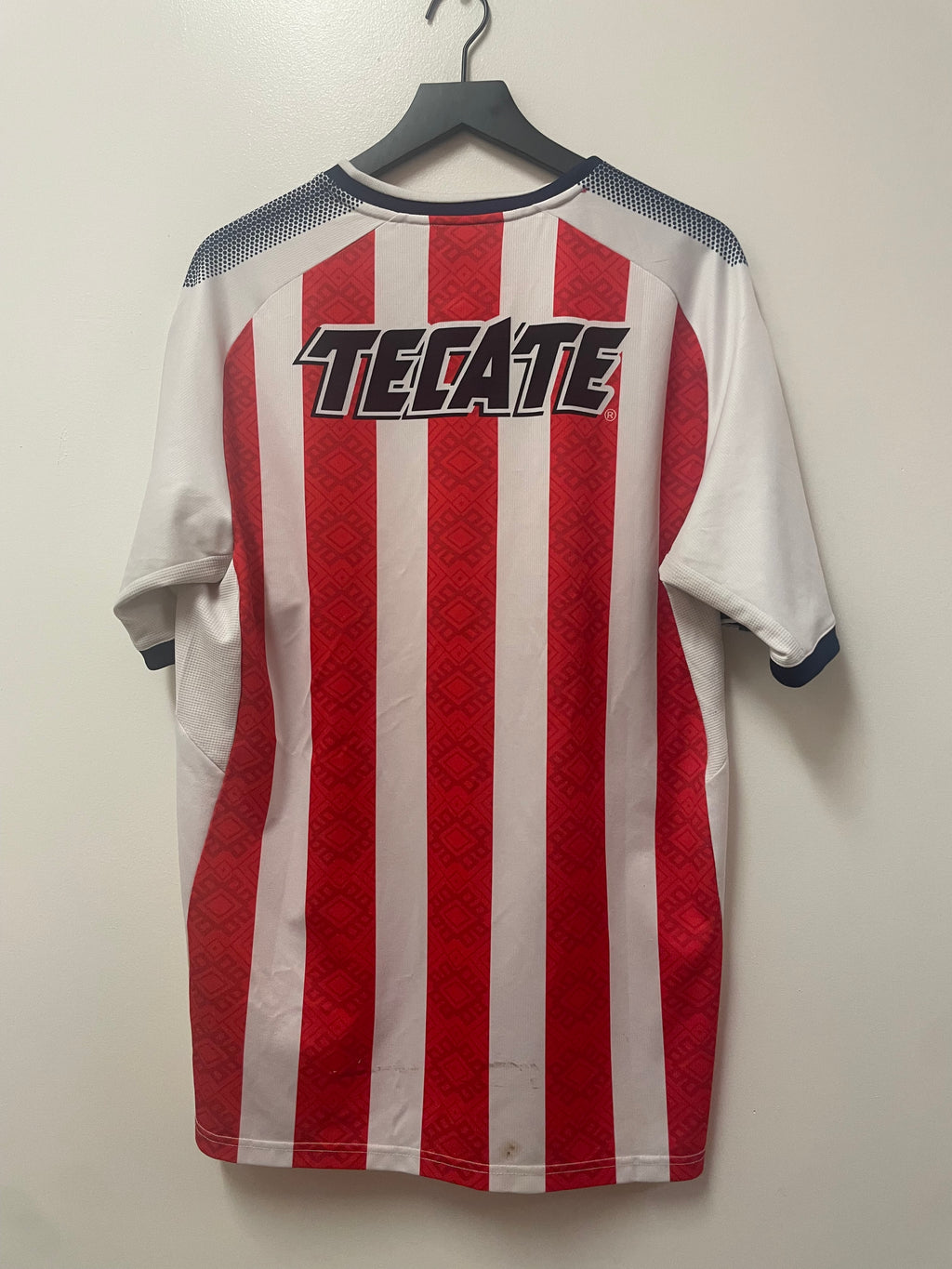 Puma Chivas de Guadalajara Home Jersey