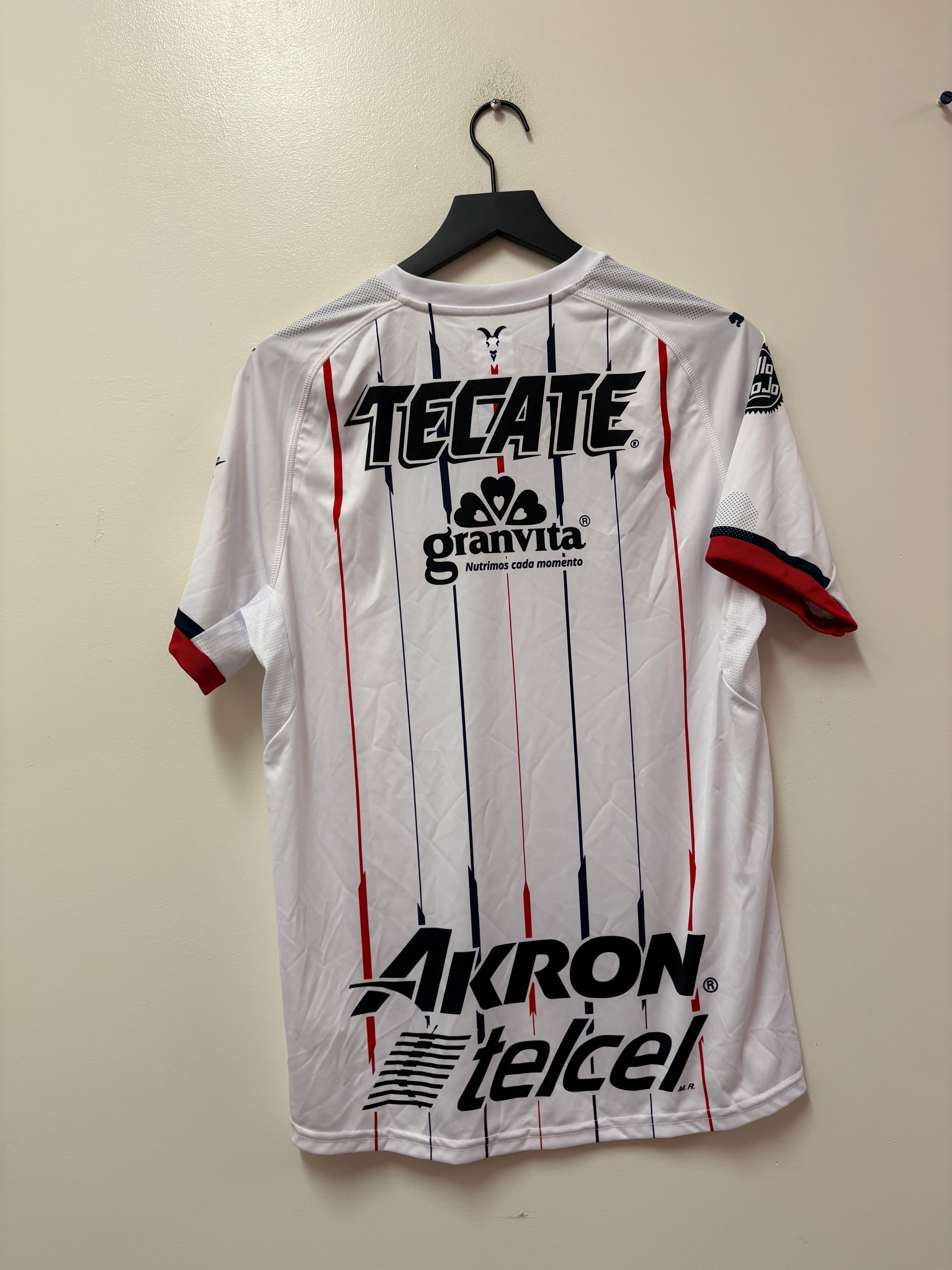 Puma Chivas de Guadalajara 2018–19 Away Jersey