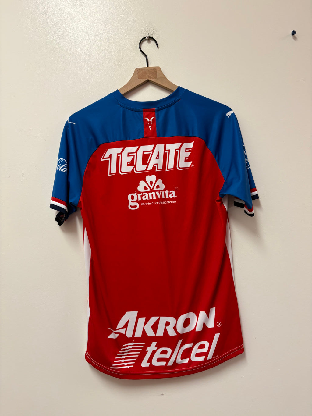 PUMA Chivas 2019–2020 Home Jersey
