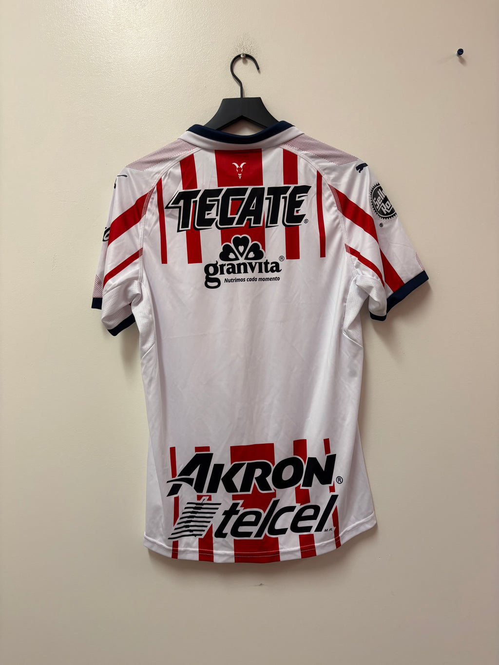 PUMA Chivas Guadalajara 2018–19 Home Jersey (Player Version)