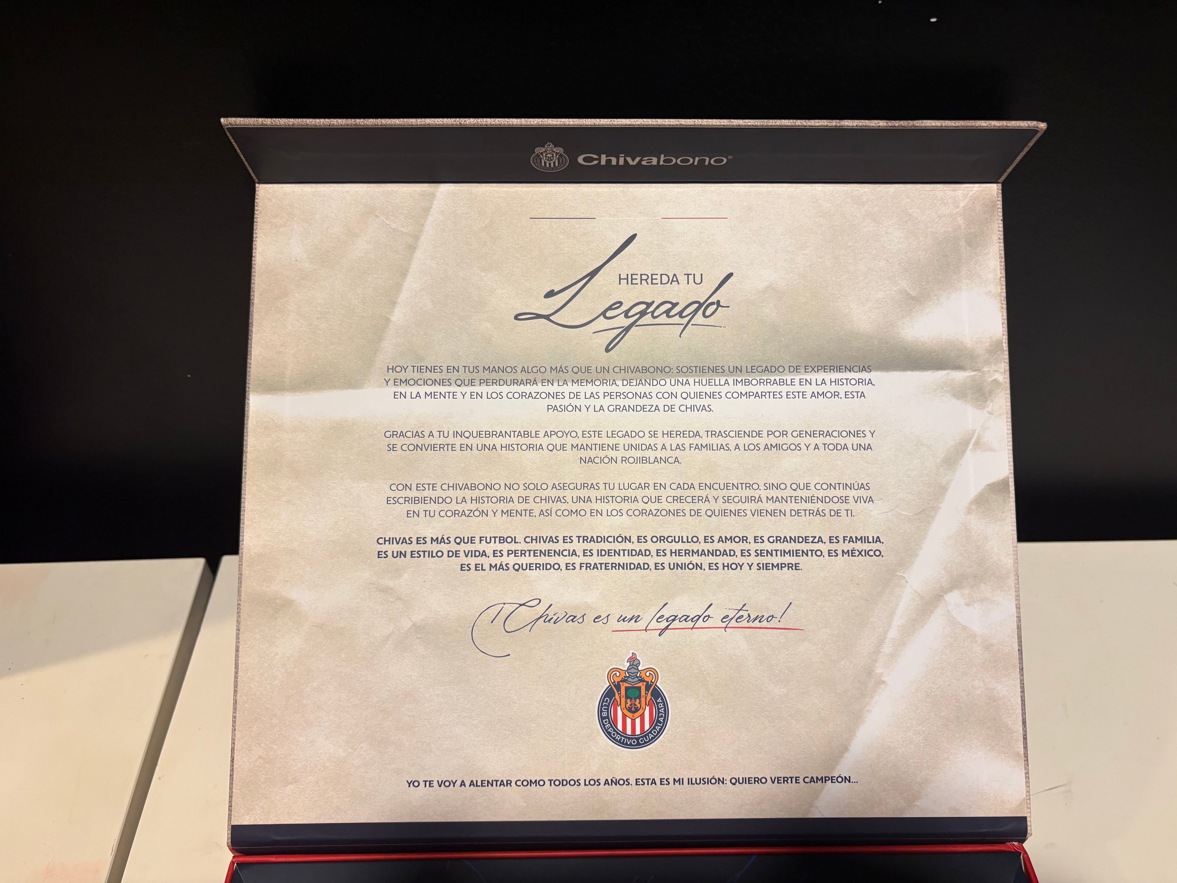 Puma Chivas 2024-25 Home Jersey ChivaBono Edition