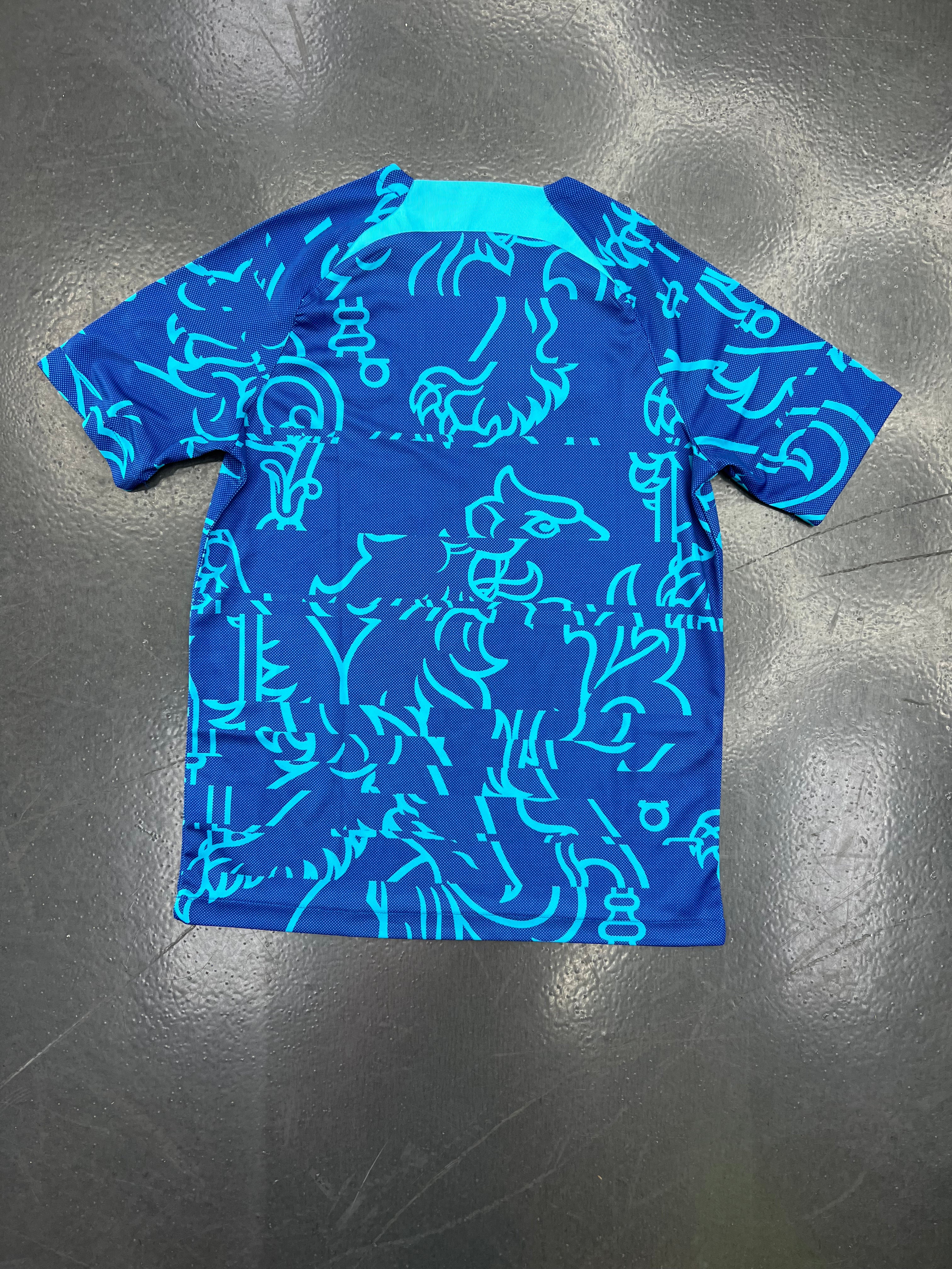 Nike Chelsea FC 2022/23 Pre-Match Jersey